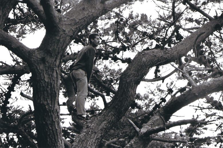 Alex Steadman In The Trees